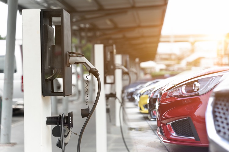 A row of electric cars parked at charging stations.