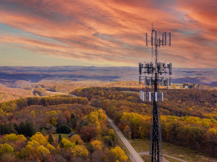 A cellular tower amongst autumn colored trees extending to the horizon.